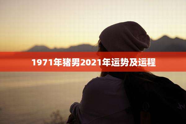 1971年猪男2021年运势及运程