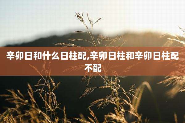 辛卯日和什么日柱配,辛卯日柱和辛卯日柱配不配