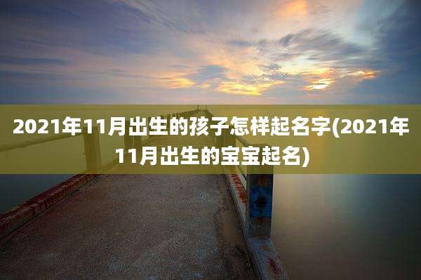 2021年11月出生的孩子怎样起名字(2021年11月出生的宝宝起名)