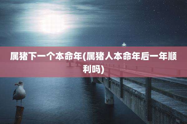 属猪下一个本命年(属猪人本命年后一年顺利吗)