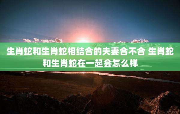 生肖蛇和生肖蛇相结合的夫妻合不合 生肖蛇和生肖蛇在一起会怎么样