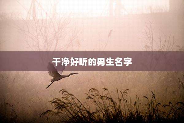 干净好听的男生名字