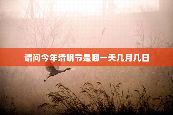请问今年清明节是哪一天几月几日