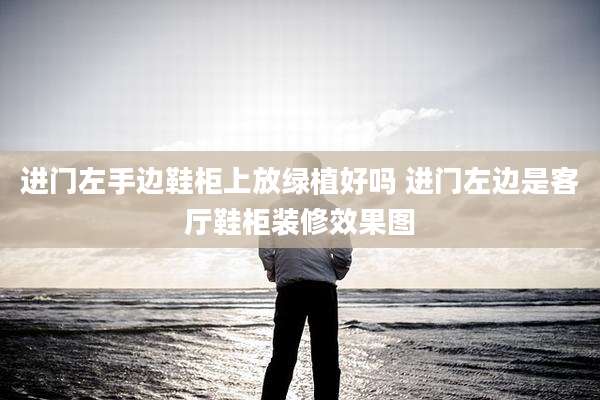 进门左手边鞋柜上放绿植好吗 进门左边是客厅鞋柜装修效果图