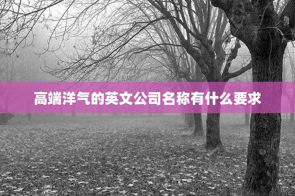 高端洋气的英文公司名称有什么要求