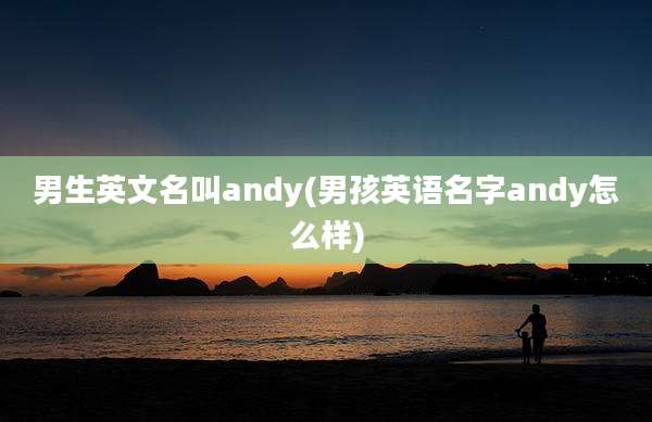 男生英文名叫andy(男孩英语名字andy怎么样)