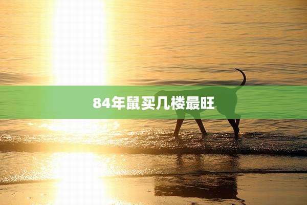 84年鼠买几楼最旺