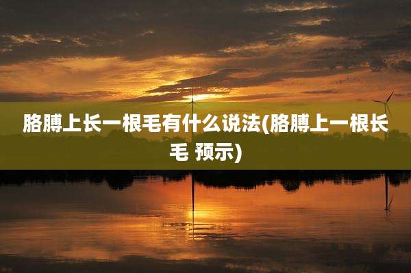 胳膊上长一根毛有什么说法(胳膊上一根长毛 预示)