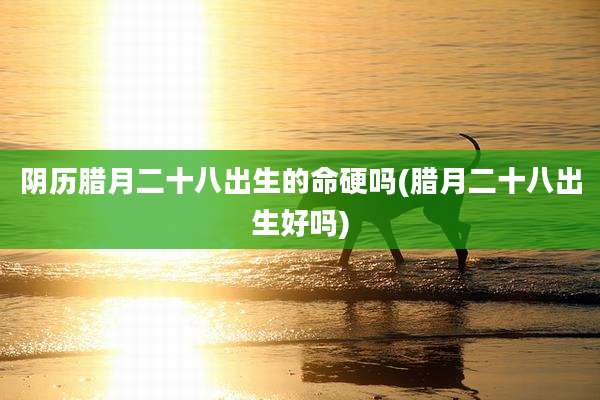 阴历腊月二十八出生的命硬吗(腊月二十八出生好吗)