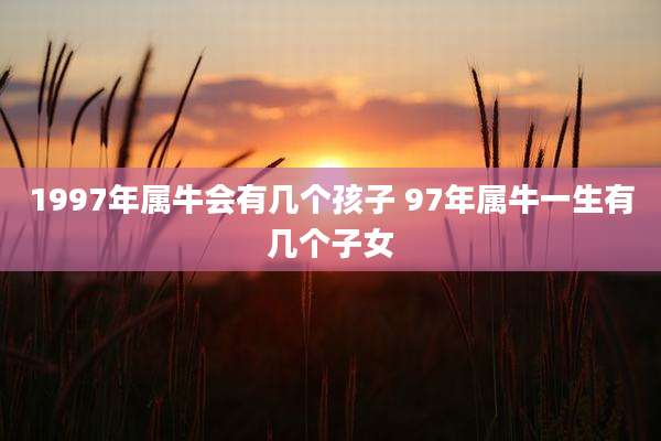 1997年属牛会有几个孩子 97年属牛一生有几个子女