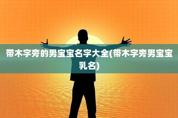 带木字旁的男宝宝名字大全(带木字旁男宝宝乳名)