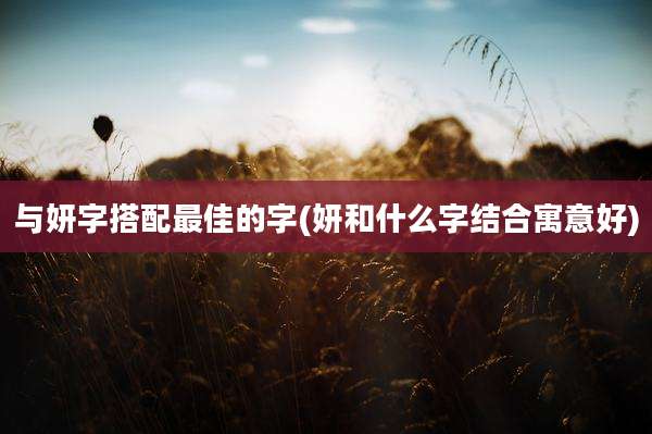 与妍字搭配最佳的字(妍和什么字结合寓意好)