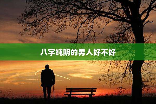 八字纯阴的男人好不好