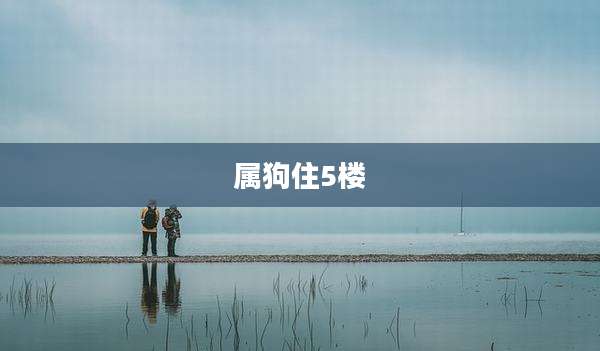 属狗住5楼