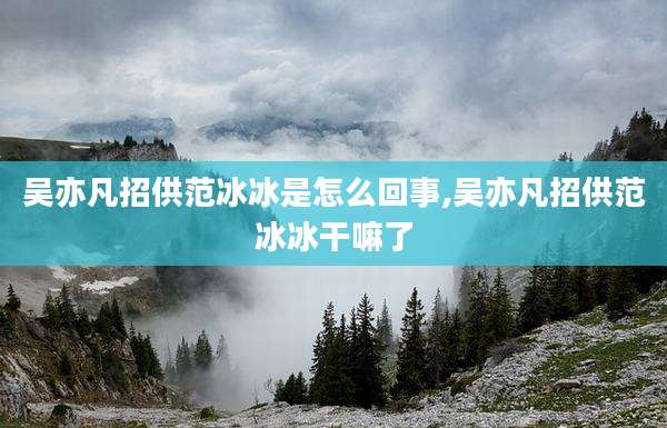 吴亦凡招供范冰冰是怎么回事,吴亦凡招供范冰冰干嘛了