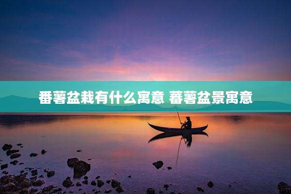 番薯盆栽有什么寓意 蕃薯盆景寓意