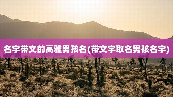 名字带文的高雅男孩名(带文字取名男孩名字)