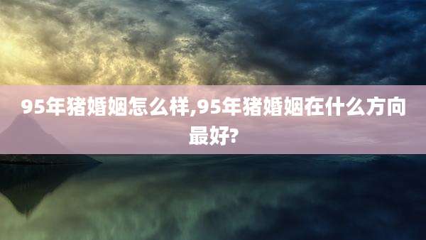 95年猪婚姻怎么样,95年猪婚姻在什么方向最好?