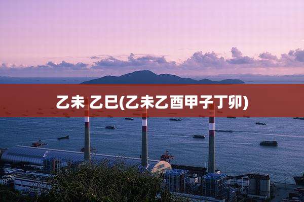 乙未 乙巳(乙未乙酉甲子丁卯)