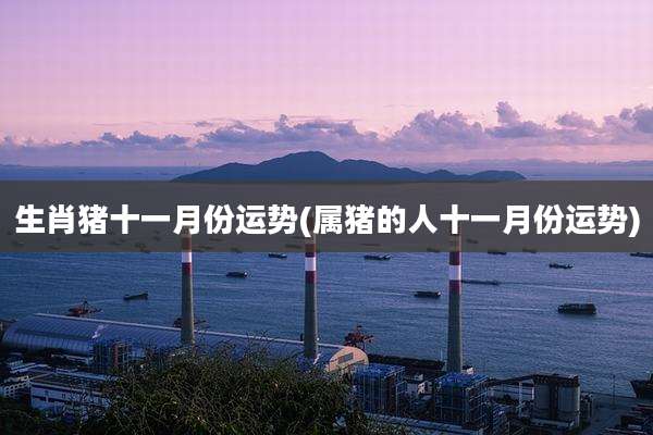 生肖猪十一月份运势(属猪的人十一月份运势)
