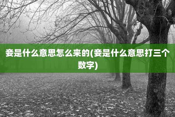 妾是什么意思怎么来的(妾是什么意思打三个数字)