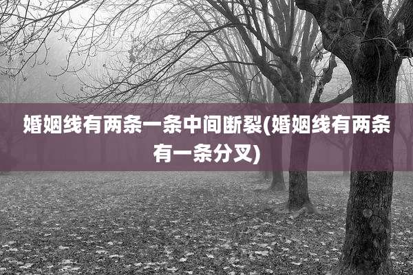 婚姻线有两条一条中间断裂(婚姻线有两条有一条分叉)