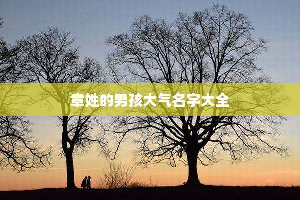 章姓的男孩大气名字大全