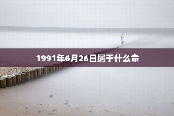 1991年6月26日属于什么命
