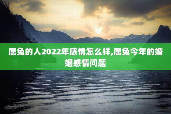 属兔的人2022年感情怎么样,属兔今年的婚姻感情问题