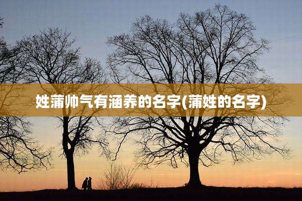 姓蒲帅气有涵养的名字(蒲姓的名字)