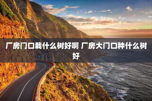 厂房门口栽什么树好啊 厂房大门口种什么树好