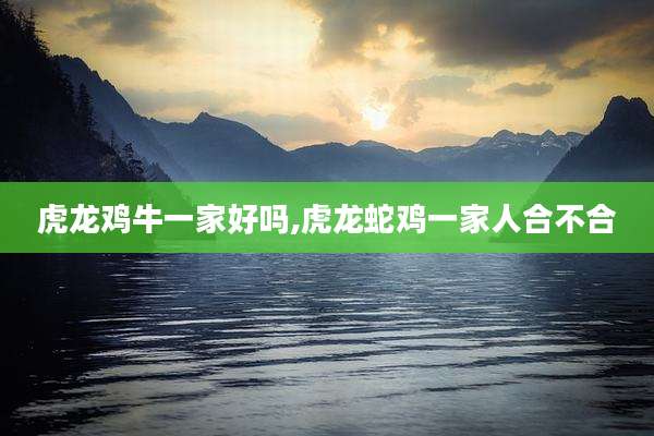 虎龙鸡牛一家好吗,虎龙蛇鸡一家人合不合
