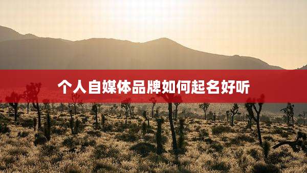 个人自媒体品牌如何起名好听