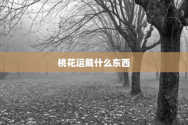 桃花运戴什么东西