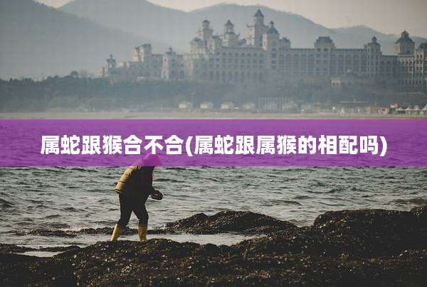 属蛇跟猴合不合(属蛇跟属猴的相配吗)