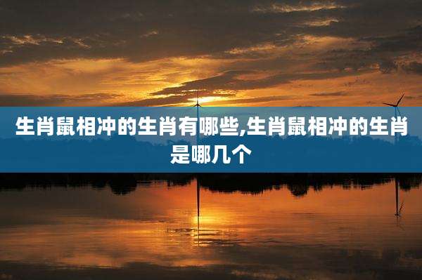 生肖鼠相冲的生肖有哪些,生肖鼠相冲的生肖是哪几个