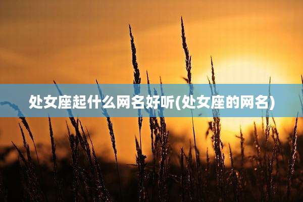 处女座起什么网名好听(处女座的网名)