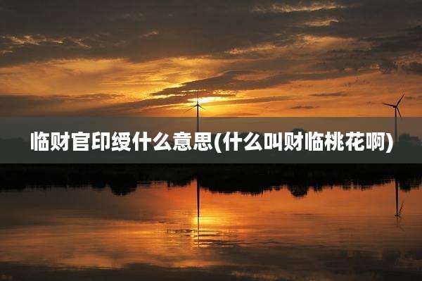 临财官印绶什么意思(什么叫财临桃花啊)