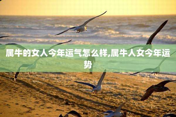 属牛的女人今年运气怎么样,属牛人女今年运势