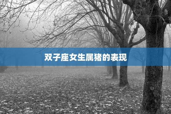 双子座女生属猪的表现