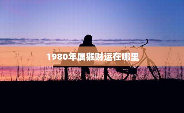 1980年属猴财运在哪里