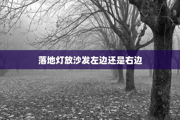 落地灯放沙发左边还是右边