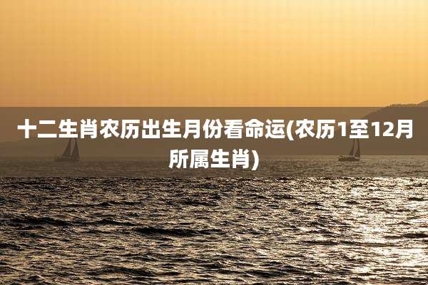 十二生肖农历出生月份看命运(农历1至12月所属生肖)