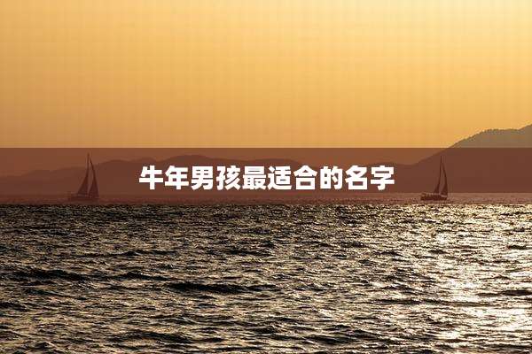 牛年男孩最适合的名字