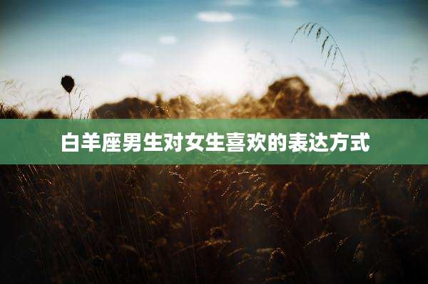白羊座男生对女生喜欢的表达方式
