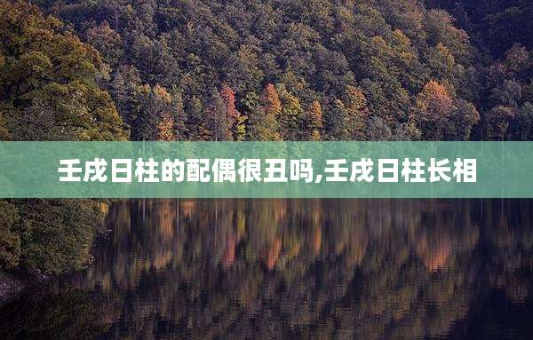壬戌日柱的配偶很丑吗,壬戌日柱长相