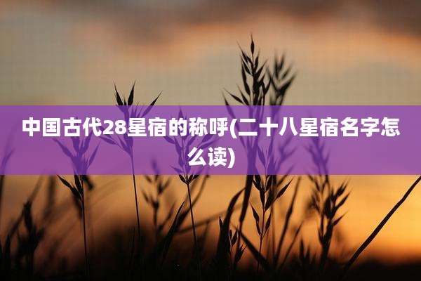 中国古代28星宿的称呼(二十八星宿名字怎么读)