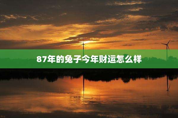 87年的兔子今年财运怎么样