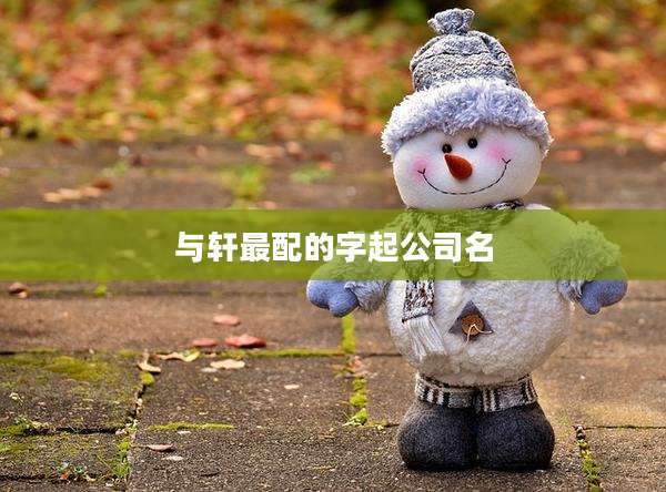 与轩最配的字起公司名