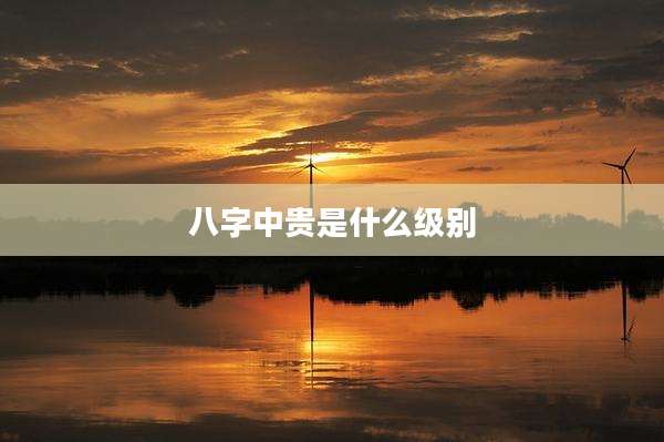 八字中贵是什么级别